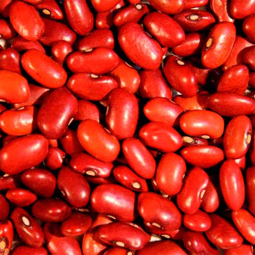 Organic Balance Organic red kidney bean