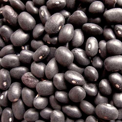 Organic Balance Organic black beans